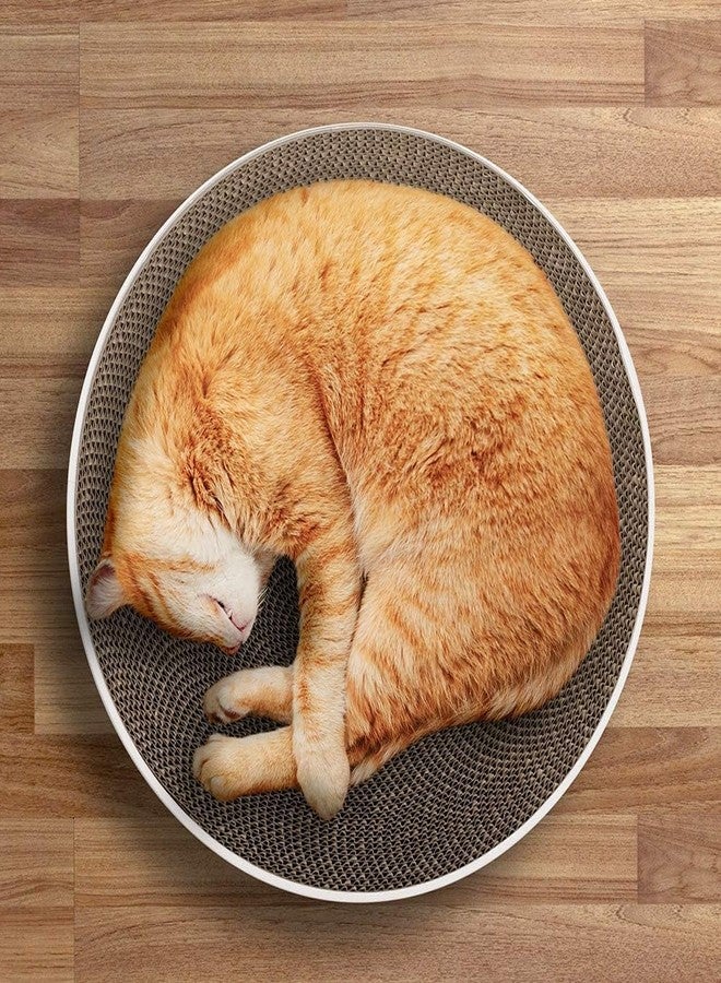 KittuPet Oval Cat Scratcher Carboard,Cat Scratch Bowl with a Interactive Toy,Cat Scratcher Nest Cats Grinding cat Claw Protector& Furniture Indoor - Image 4